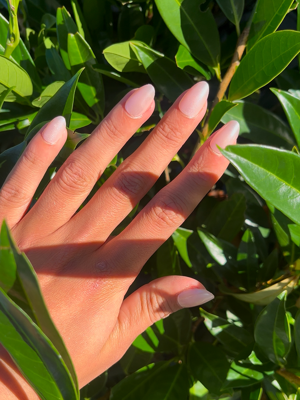 Silk Shimmer